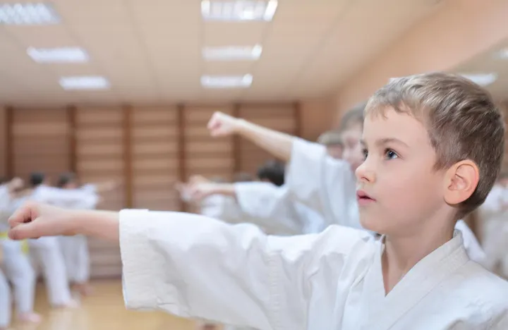 shogun DIE KAMPFKUNSTSCHULE — Kampfsport in Norderstedt, Hamburg