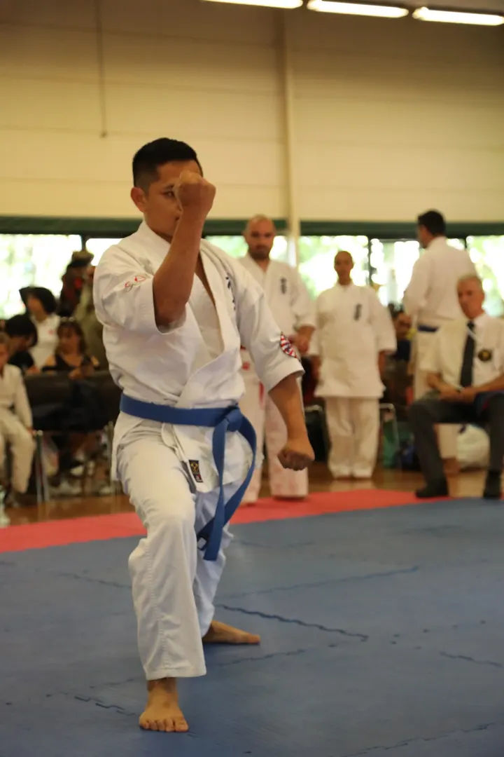 KYOKUSHIN KARATE DOJO — Arts martiaux à Vitrolles