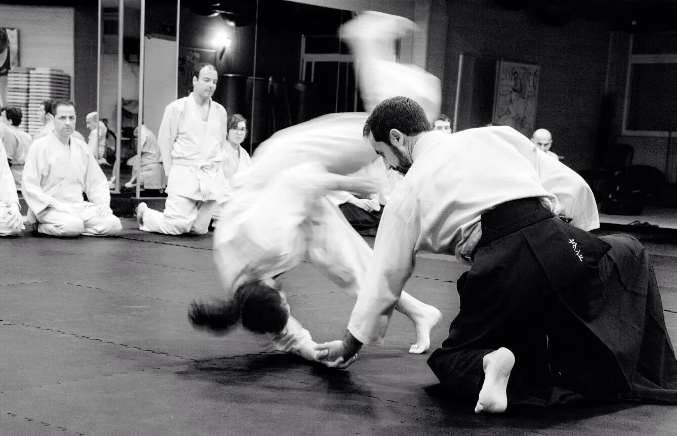 Dojo Alboran — artes marciales-studio en El Parador de las Hortichuelas — 3