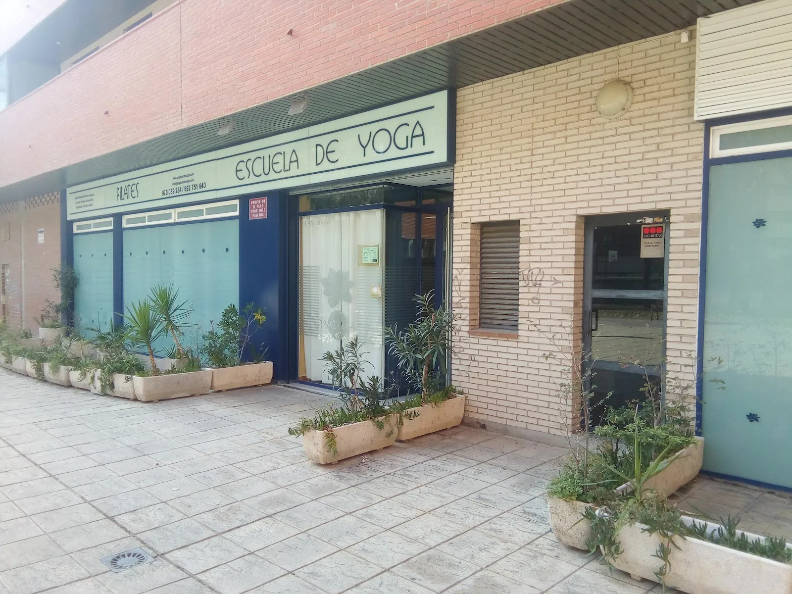 Escuela De Yoga Padma — yoga-studio en ZARAGOZA — 2