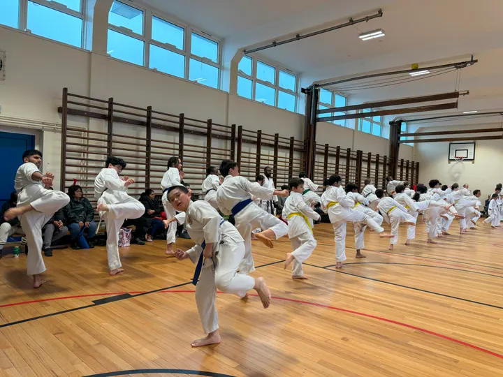 Senshi Ryu Martial Arts — martial arts-studio in London — 4