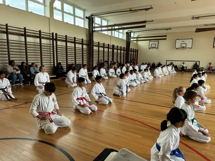 Senshi Ryu Martial Arts — Martial Arts in Kingsbury, London