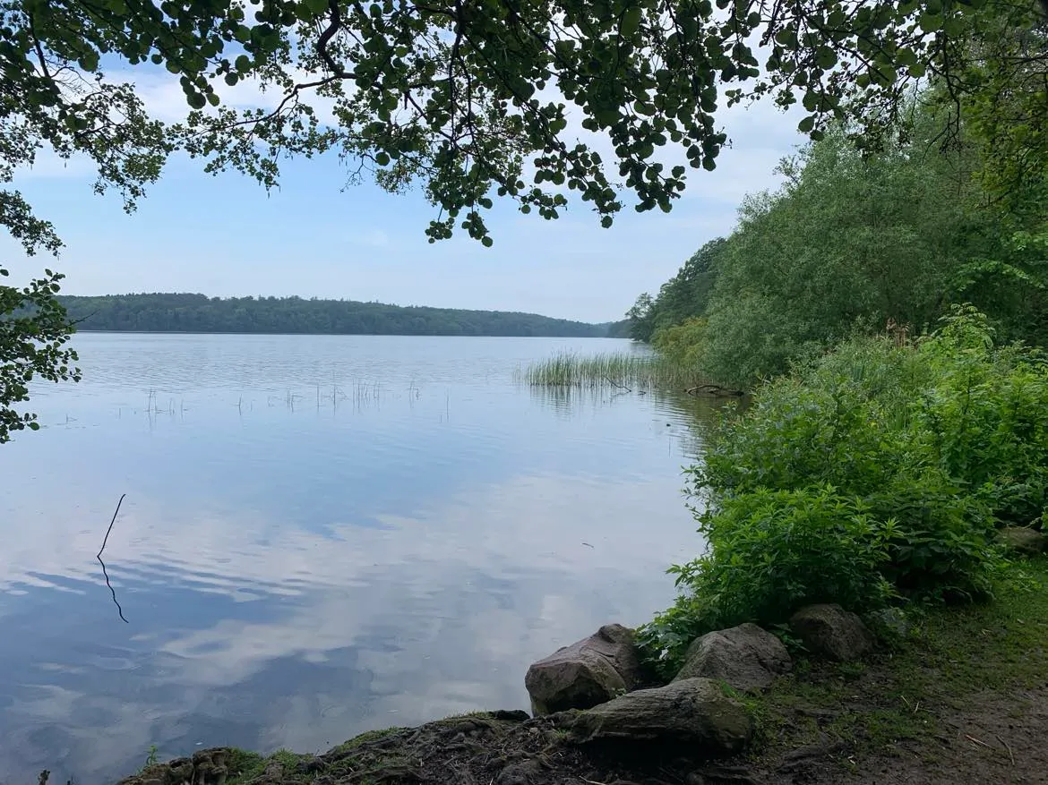 Huset HeartMind — meditation-studio i Farum — 3