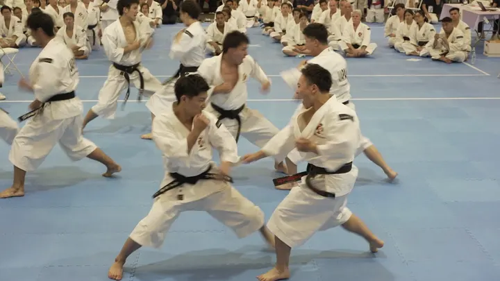 Shorinji Kempo Vaugirard — arts martiaux-studio à Paris 6e Arrondissement, Paris — 3