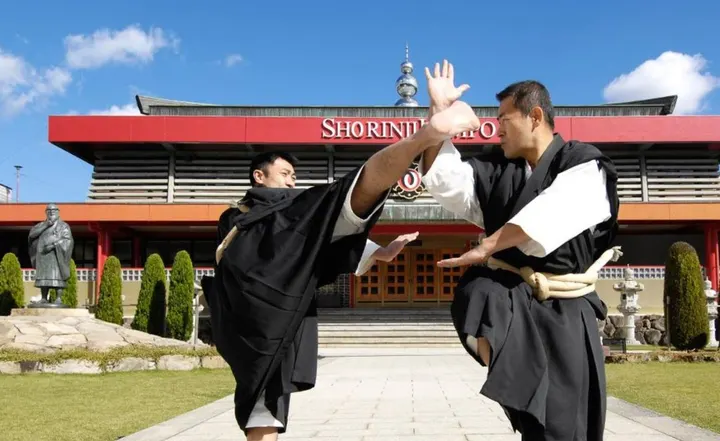 Shorinji Kempo Vaugirard — arts martiaux-studio à Paris — 4