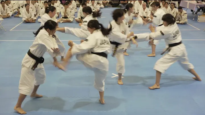 Shorinji Kempo Vaugirard — Arts martiaux à Paris 6e Arrondissement, Paris