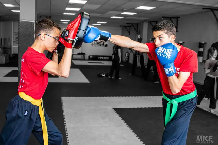 Manchuria Kung Fu École de St-Etienne — arts martiaux-studio à Saint-Étienne — 3