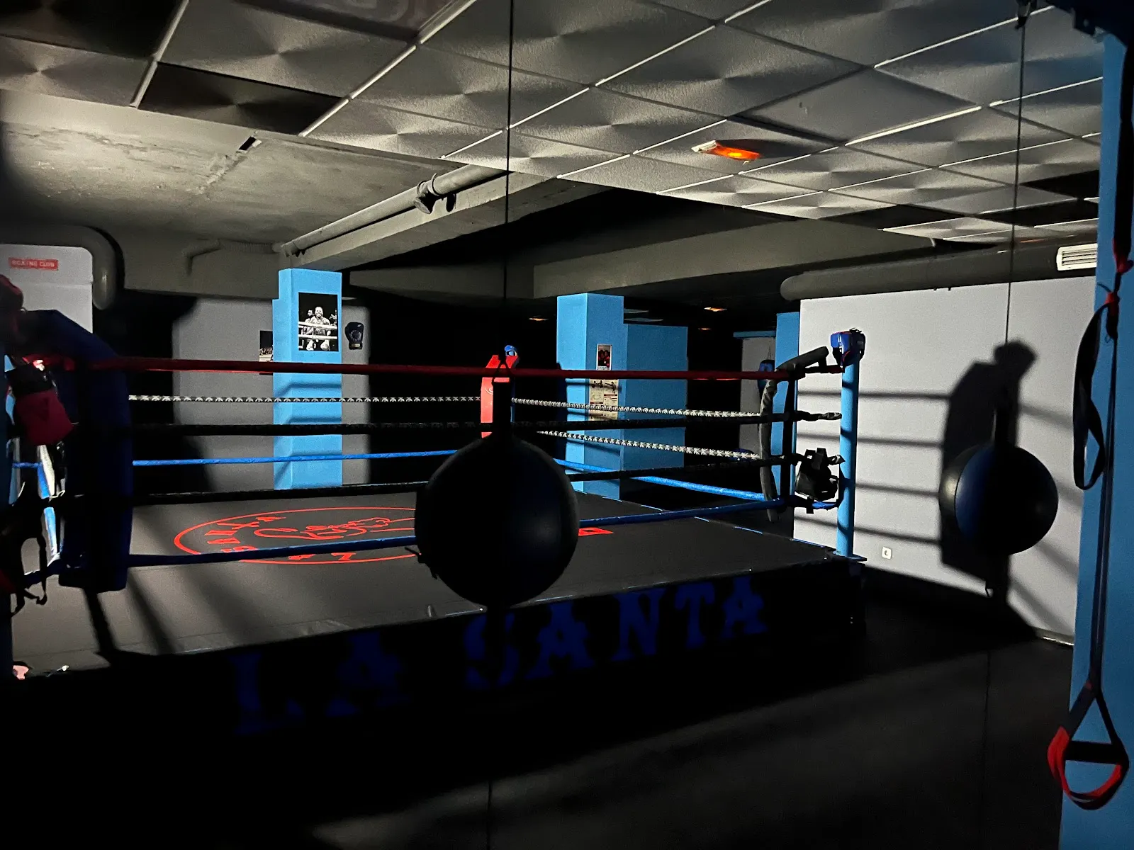 Escuela De Boxeo El Soto — artes marciales-studio en Móstoles — 3