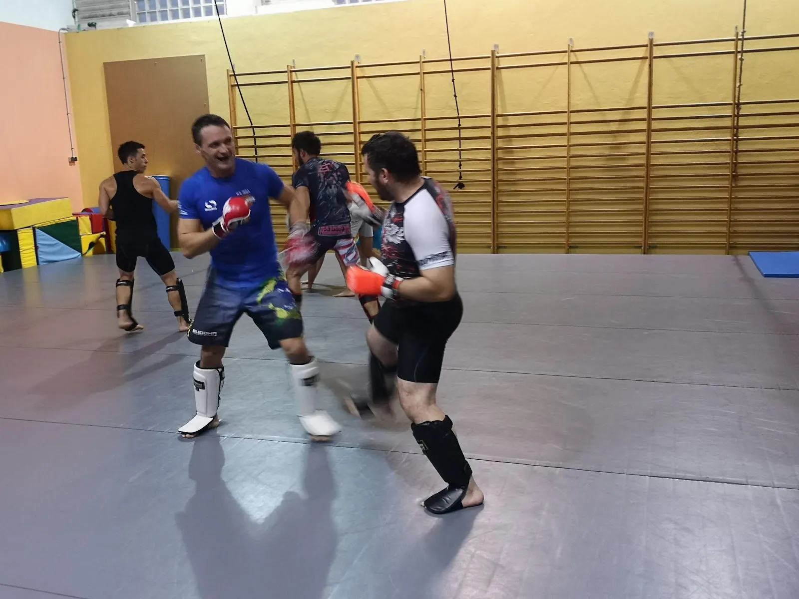 Nova Uniao BJJ Ibiza — artes marciales-studio en Can Cabrit, Puig den Valls — 2