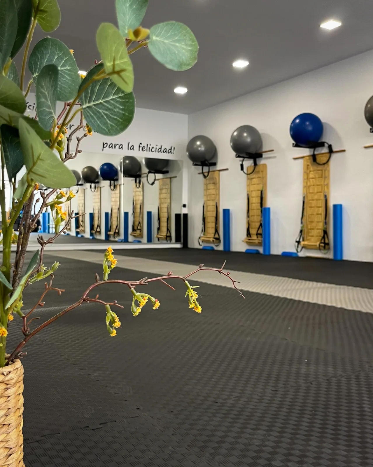 Lidomare Pilates Estudio — pilates-studio en Torremolinos — 5