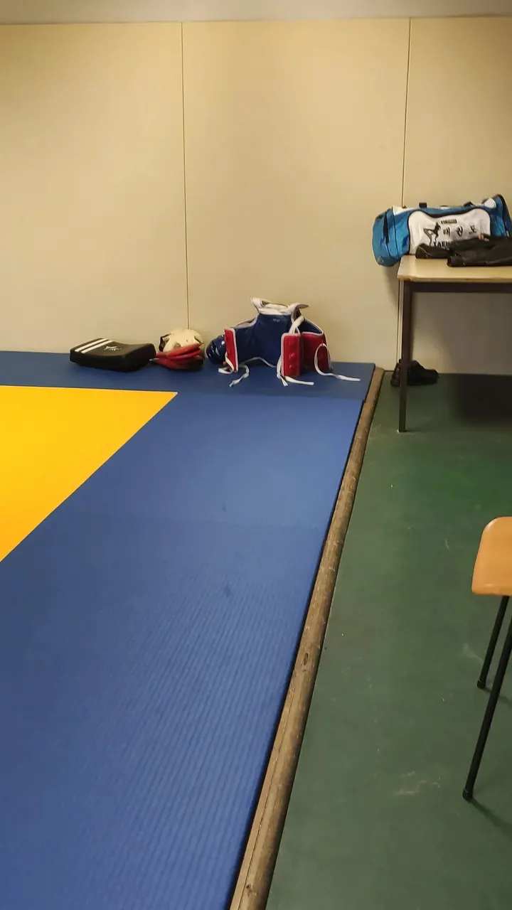 Jlp Taekwondo — Arts martiaux à Bel Air, Orléans