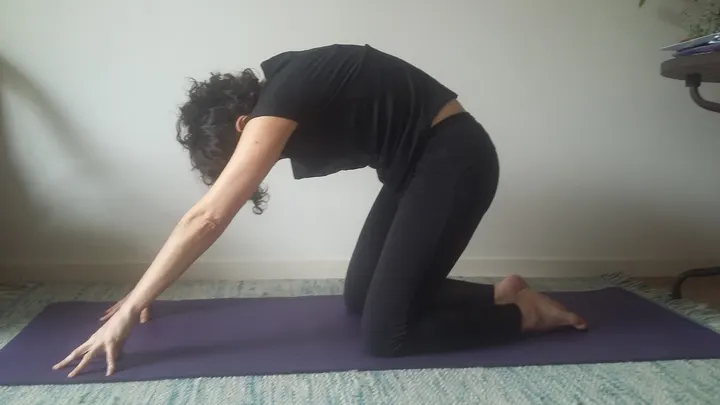 Nathalie BOURGIN - Association Bien-être et Mouvement - cours hebdos - stages et séjours — pilates-studio à Rennes — 5