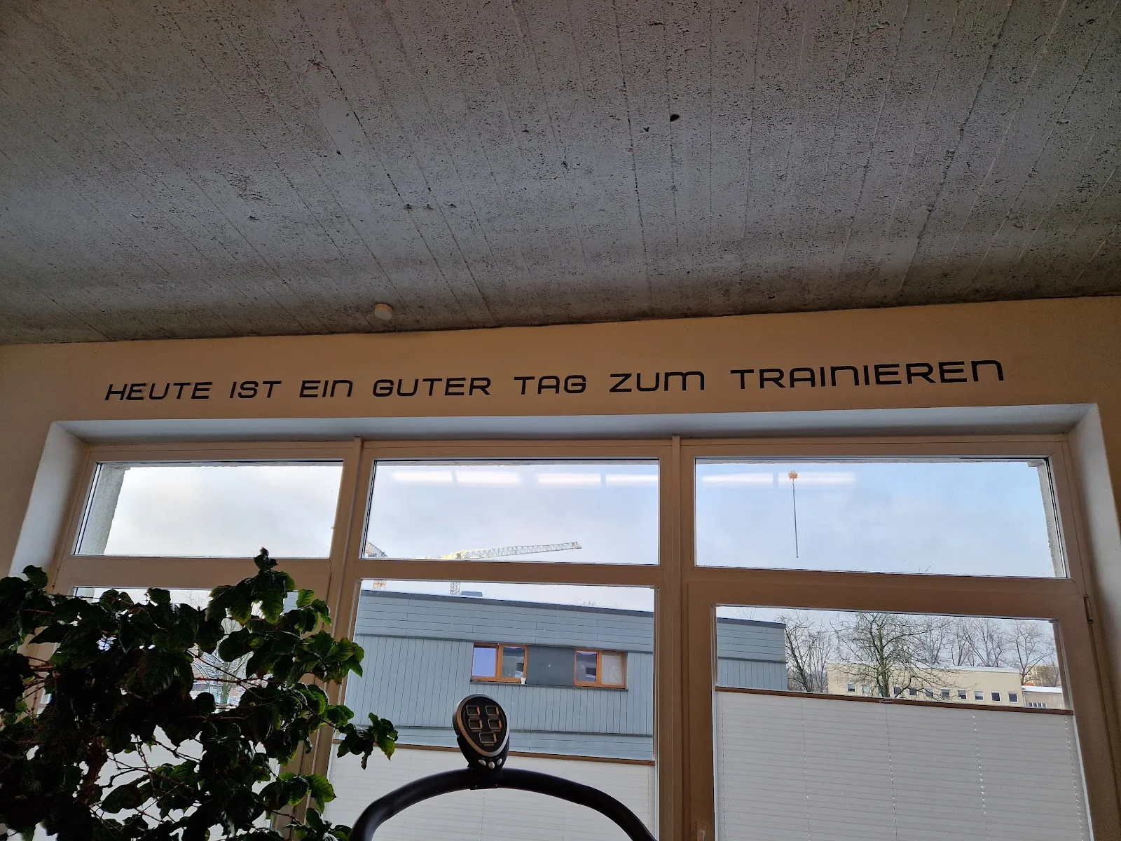 TRAININGSDECK Personal Training und Golf-Athletik — pt-studio in Groß Borstel, Hamburg — 3