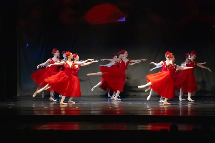 Ballettschule Salzgitter — tanz-studio in Salzgitter — 4