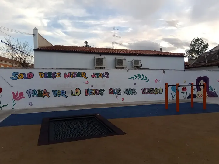Barras calistenia — calisthenics-studio en La Almunia de Doña Godina — 3
