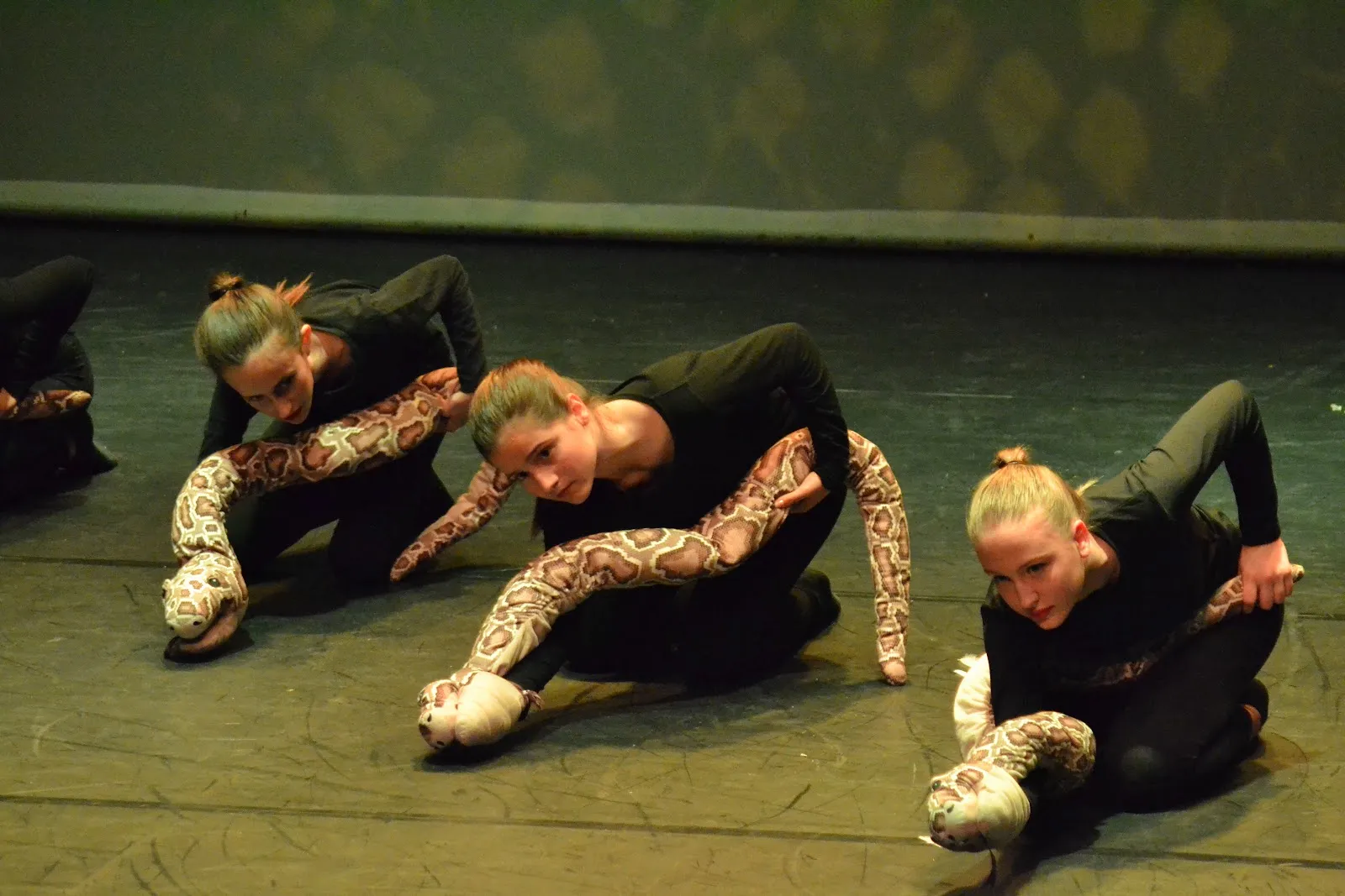 Pas X Pas — baile-studio en Argentona — 3