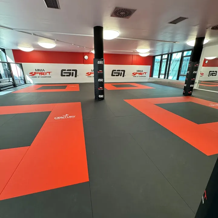 MMA Spirit — kampfsport-studio in Frankfurt am Main — 3