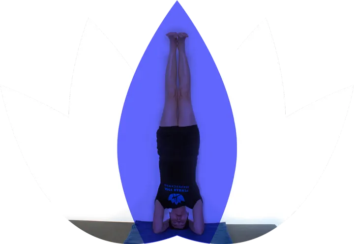 Iyengar Yoga — yoga-studio in Braunschweig — 3