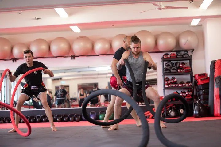 Sparta Gym Freiburg — fitnessstudio in Freiburg im Breisgau — 3
