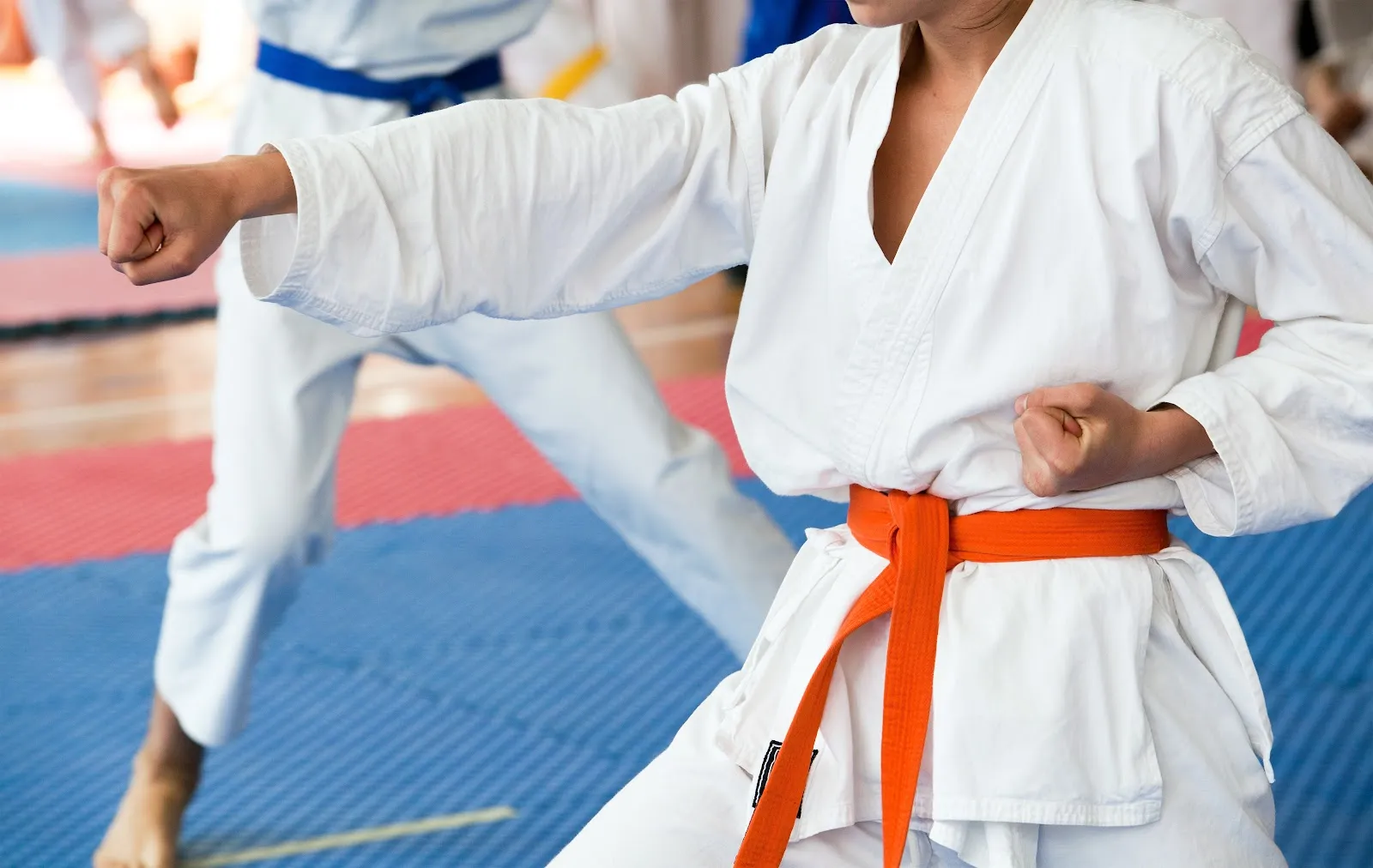 Shotokan Karate Academy Berlin e.V. — kampfsport-studio in Lichterfelde, Berlin — 2