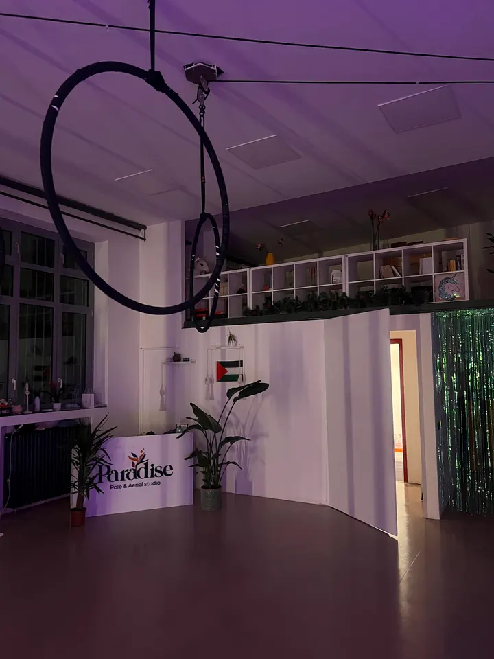 Paradise Studio — pole dance-studio a Dergano, Milano — 2