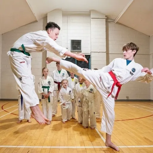 Elite Taekwondo Ni — martial arts-studio in West Winds, Newtownards — 2