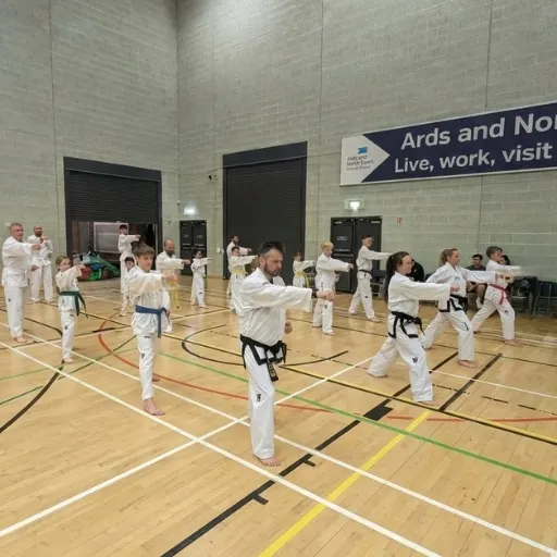 Elite Taekwondo Ni — martial arts-studio in West Winds, Newtownards — 3