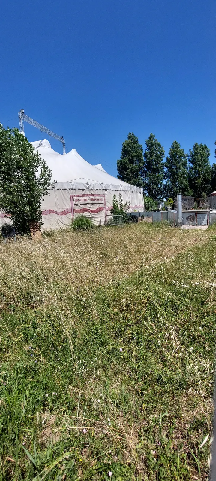École de Cirque de Bordeaux — arts aériens-studio à Bordeaux — 3