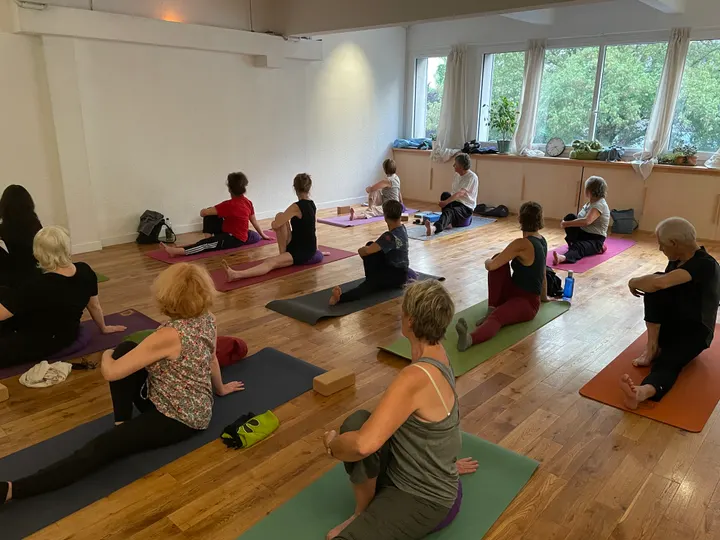 Bheka Yoga — Yoga aux Lilas