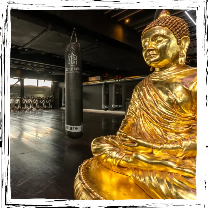 Dutch Gym Utrecht West — Functionele training in West, Utrecht