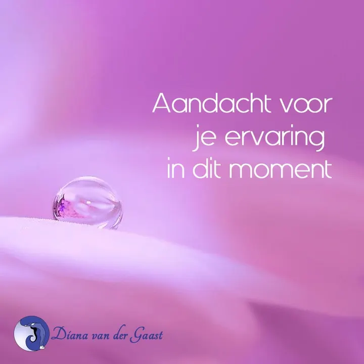 Diana van der Gaast — yoga-studio in Middelburg — 3