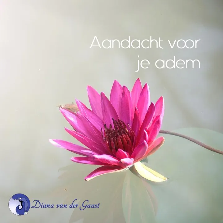 Diana van der Gaast — yoga-studio in Middelburg — 4