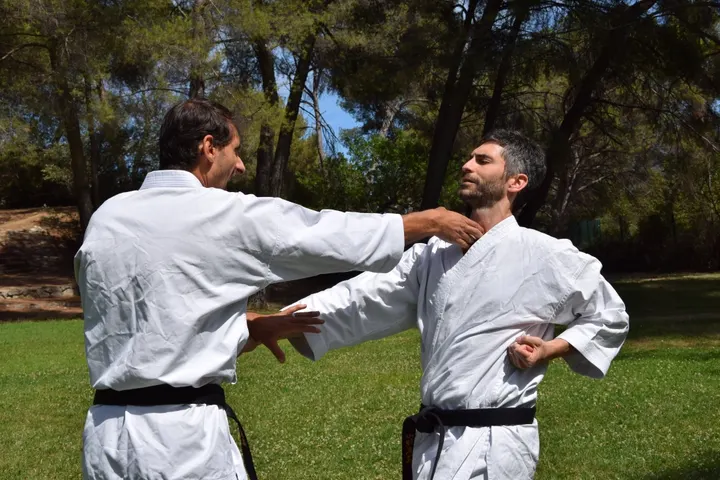 Shin Kyo Budo — arts martiaux-studio à Val Saint-André, Aix-en-Provence — 3