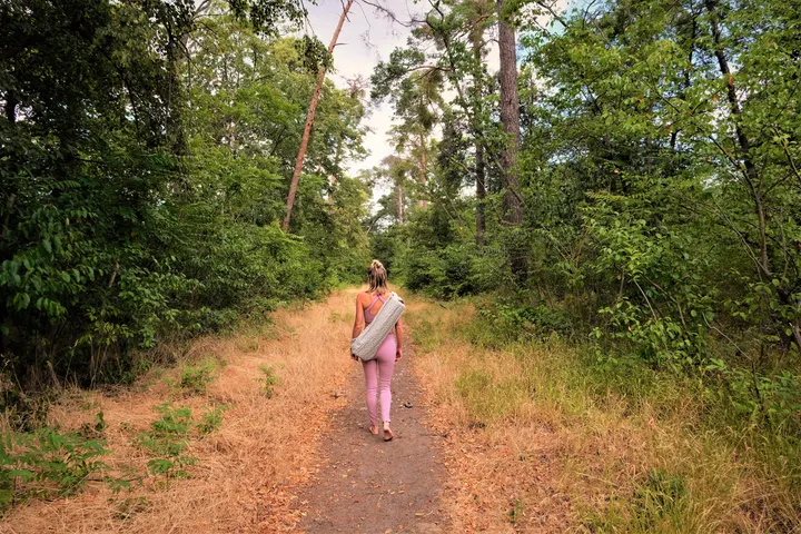 Wald Yoga & Yogatherapie by Jasmin — yoga-studio in Franklin, Mannheim — 2