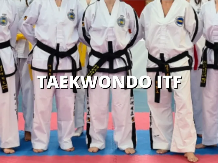 Academia Daniela Goitre — artes marciales-studio en Zaragoza — 3