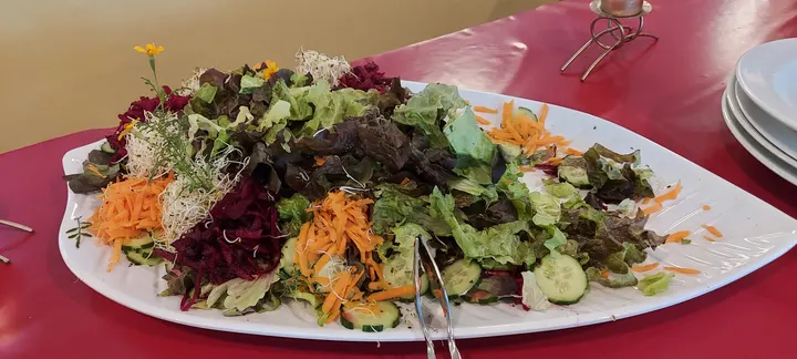 Biodanza & Natur — tanz-studio in Ziegelhof, Oldenburg — 2