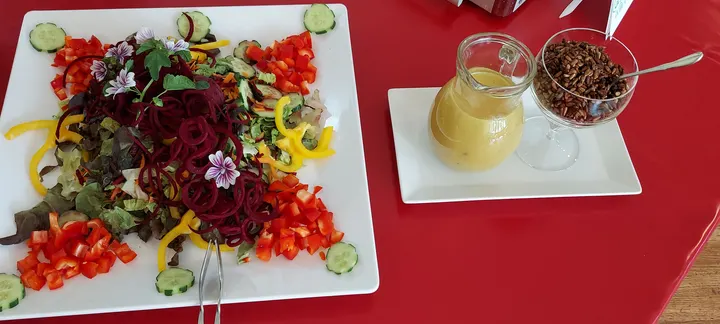 Biodanza & Natur — tanz-studio in Oldenburg — 6