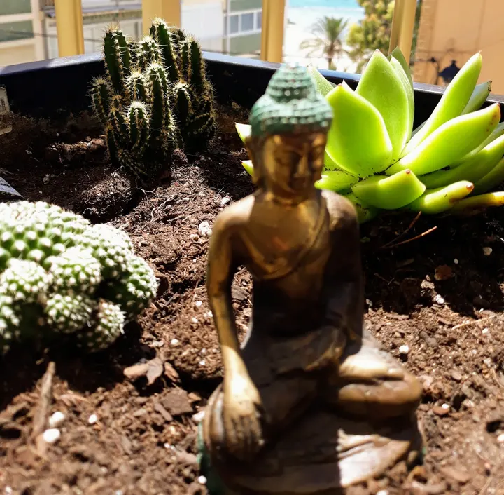 yoga Benidorm — Yoga en Benidorm