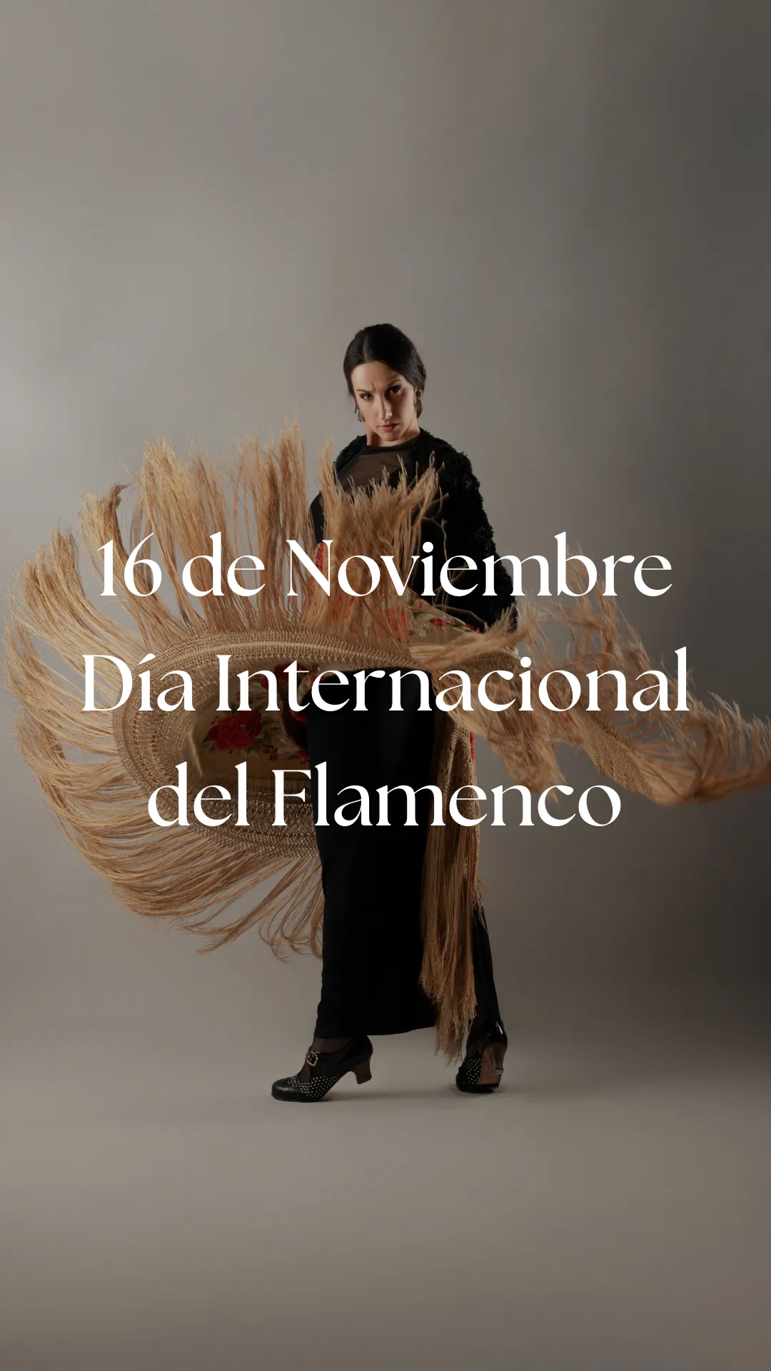 Estudio Flamenco Rocío Duarte — dans-studio i León — bild 5
