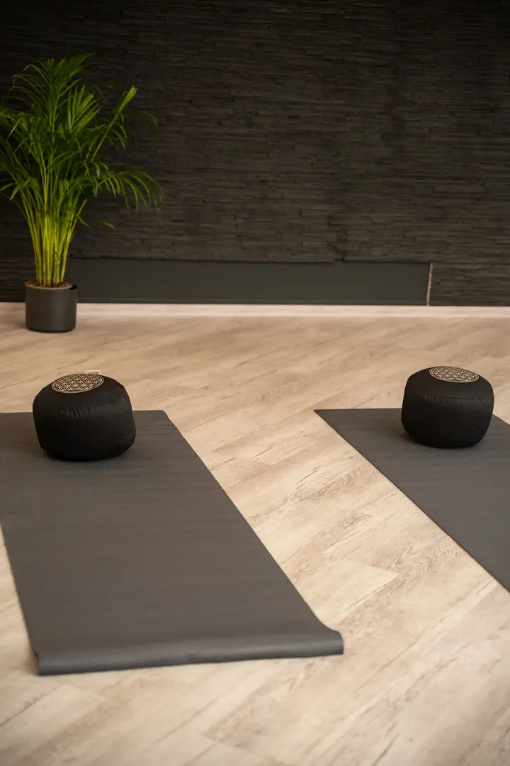 MINDFUL ATHLETICS e.V. — pt-studio in Kaßberg, Chemnitz — 2
