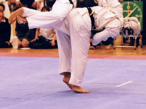 NIPPON KEMPO MARSEILLE Section Endoume St-Lambert — arts martiaux-studio à 7e Arrondissement, Marseille — 3
