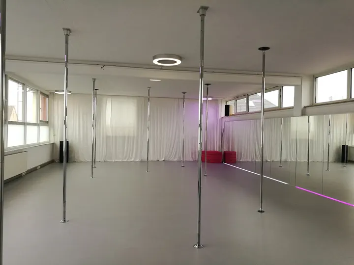 Polestatement Poledance — fitnessstudio in Heidelberg — 4