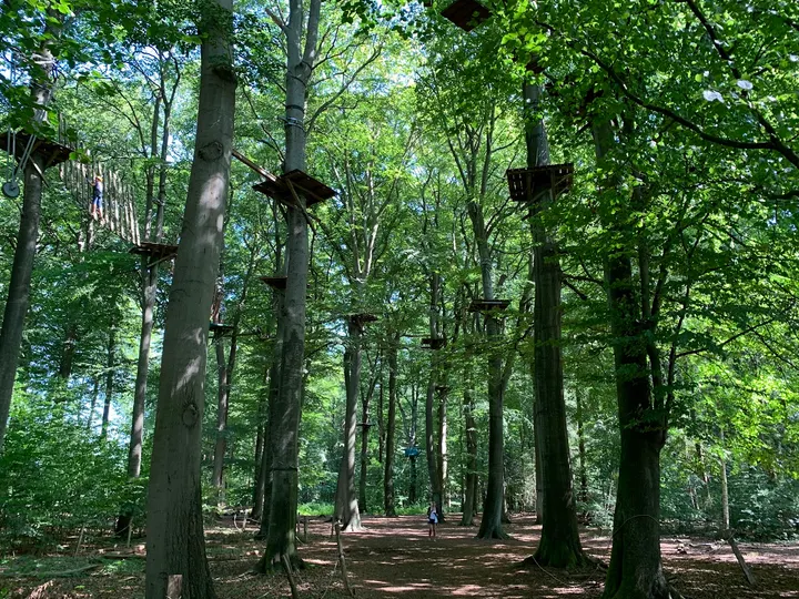 schnurstracks Kletterpark Hamburg — klettern-studio in Aumühle — 3
