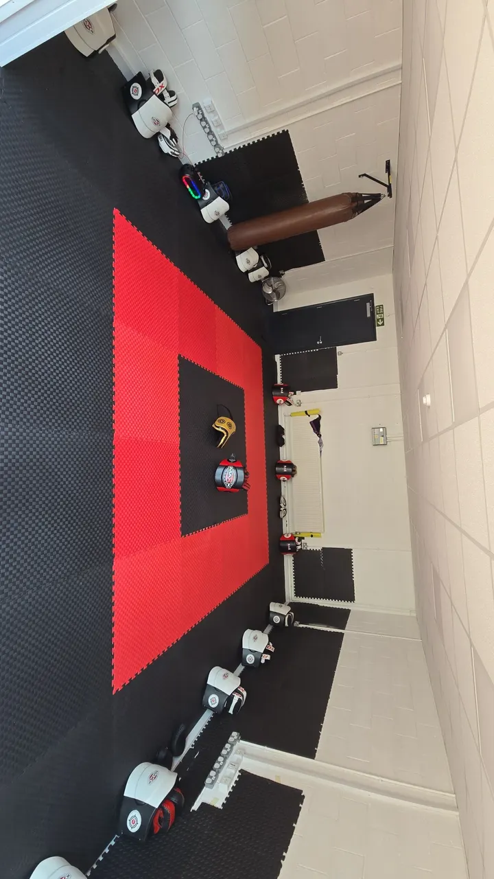 Ludas Fight Academy — martial arts-studio in Walmley Ash, Birmingham — 2