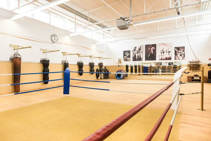 Fitness Tempel Friedrichshafen — fitnessstudio in Efrizweiler, Friedrichshafen — 2