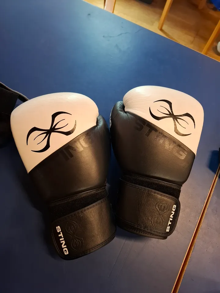 Haslev Amatør Bokse Klub — kampsport-studio i Troelstrup, Haslev — 2