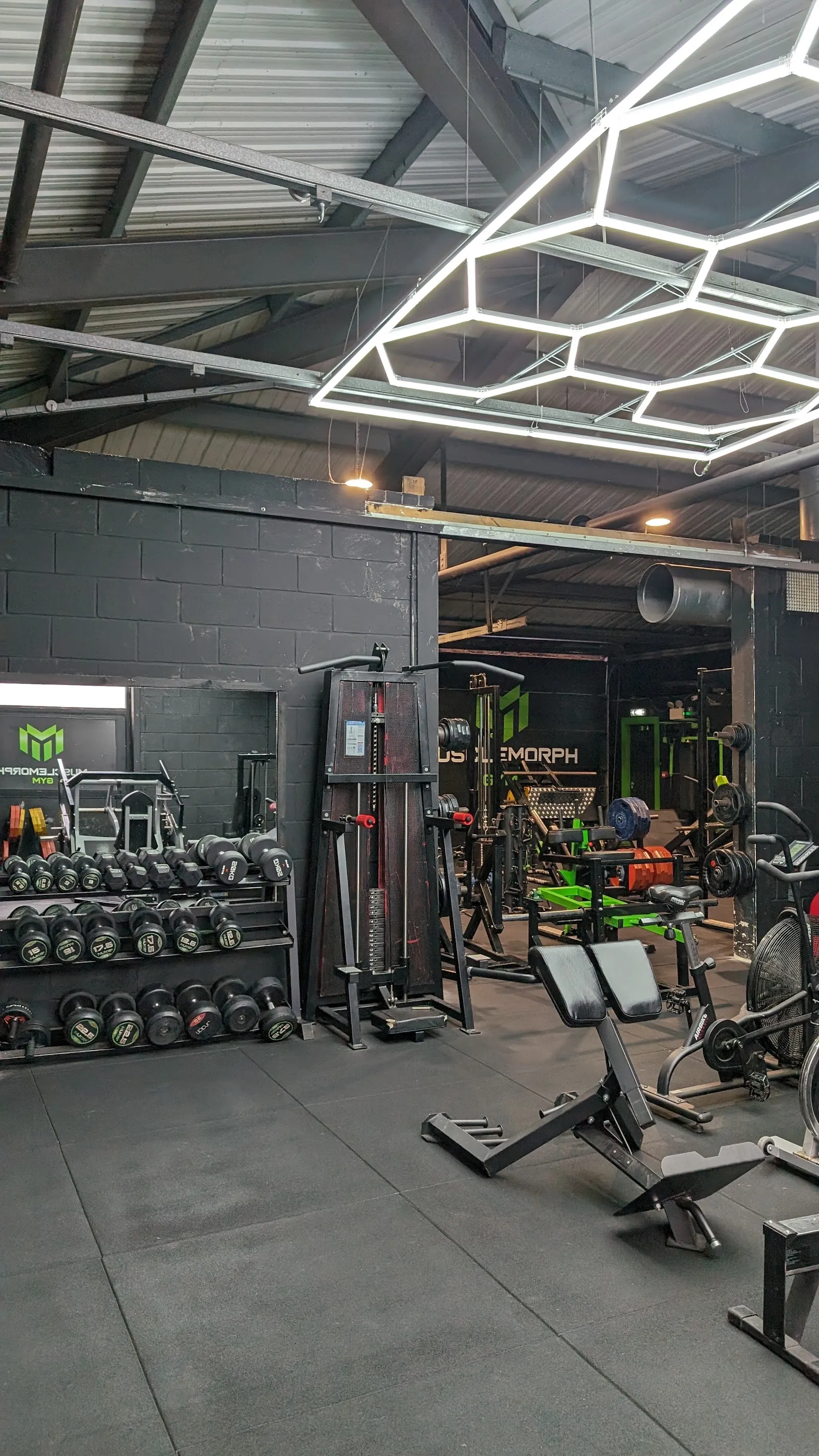 MUSCLEMORPH GYM — fitness studio in Penrhyndeudraeth — 5