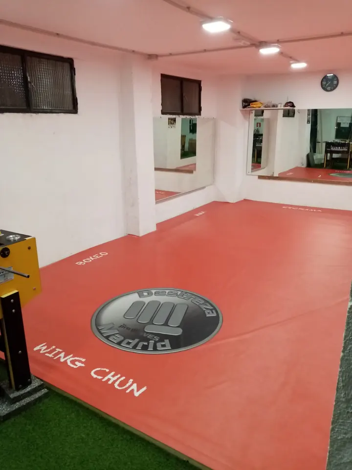 Destreza Madrid — artes marciales-studio en Madrid — 5