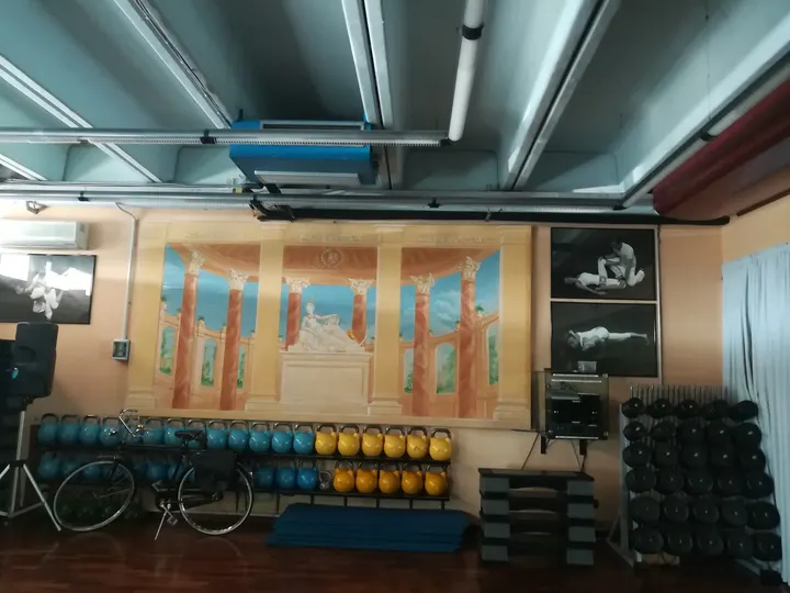 Palestra Brunazzi — palestre-studio a Gavassa, Reggio Emilia — 3