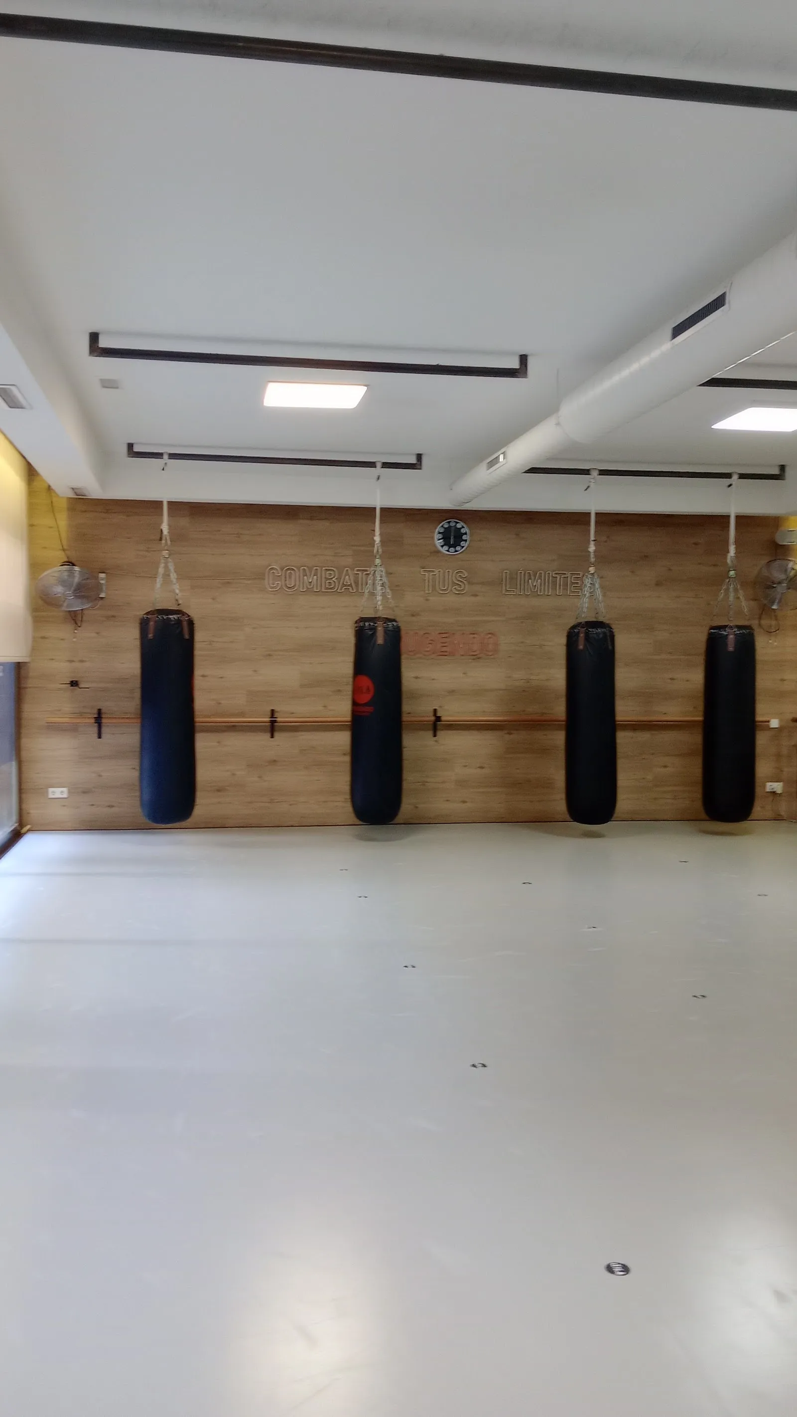 Mugendo Tetuán – Artes Marciales (Niños y Adultos) / Arts Marcials (Nens i Adults) — artes marciales-studio en Barcelona — 5